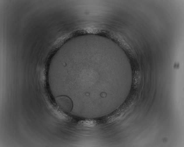 X0000100500639200806201716