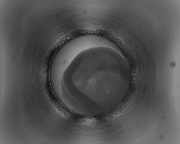 X0000100500642200806201716