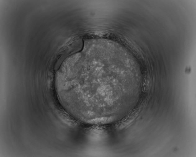 X0000100500656200806201716