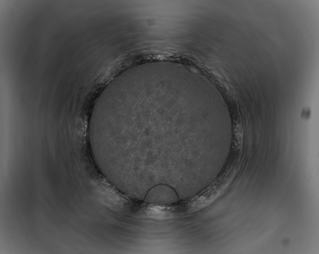 X0000100500657200806201716