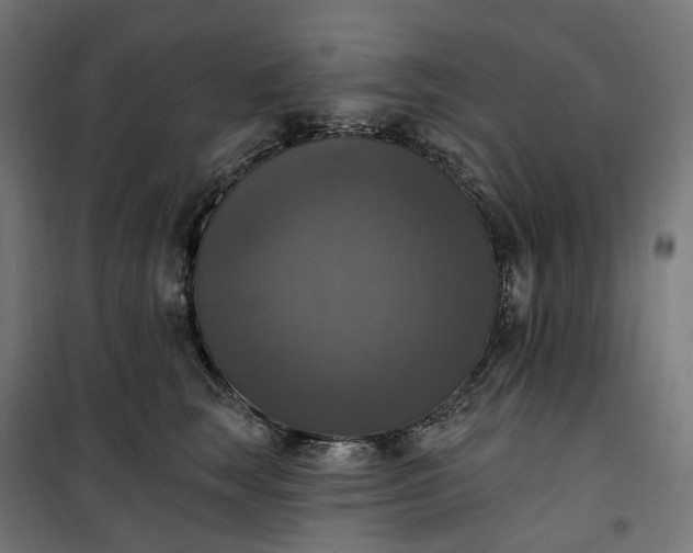 X0000100500663200806201716