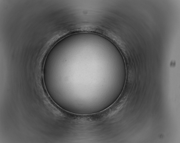 X0000100500673200806201715