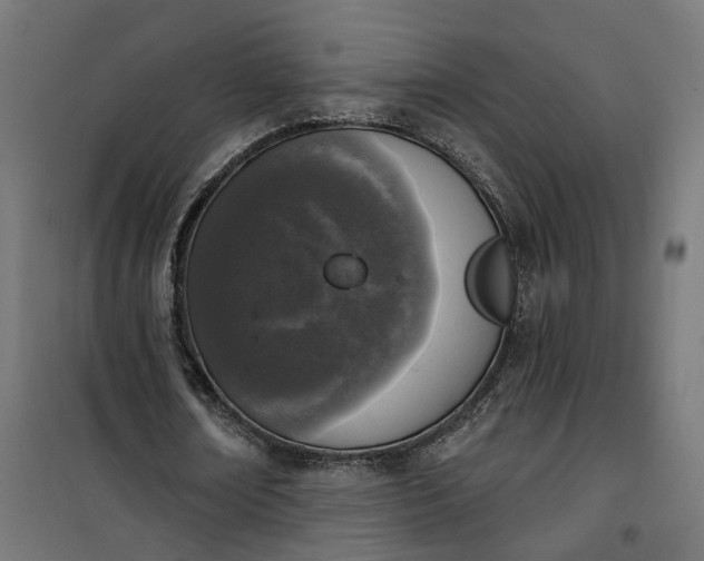 X0000100500674200806201715