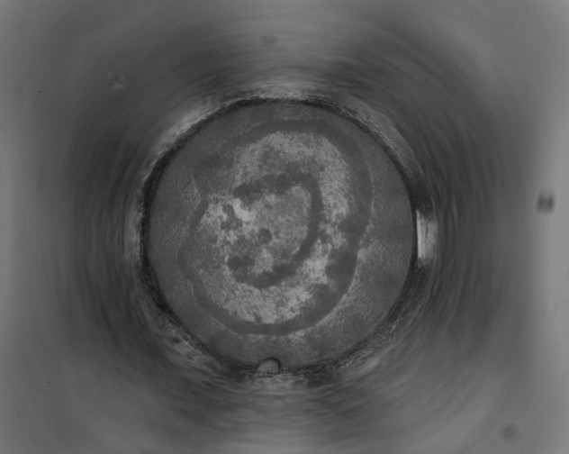 X0000100500675200806201715