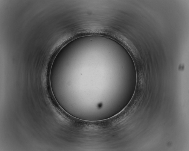 X0000100500677200806201715