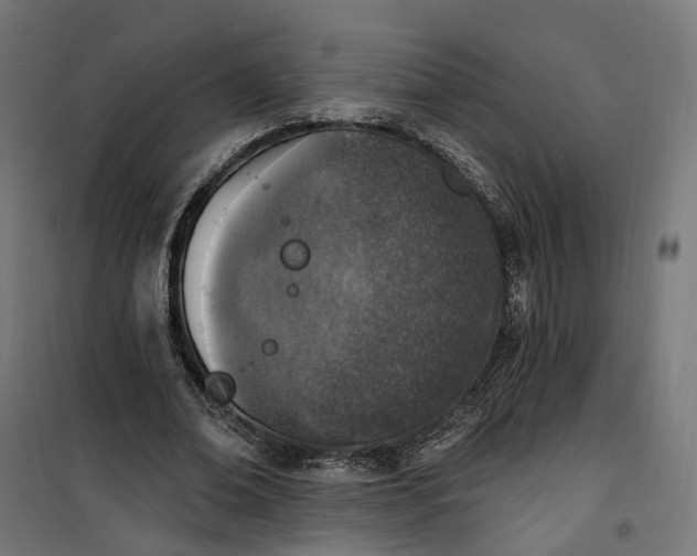 X0000100500678200806201715