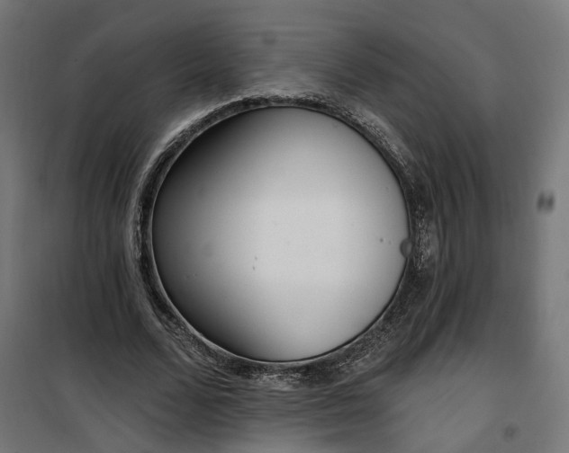 X0000100500680200806201715