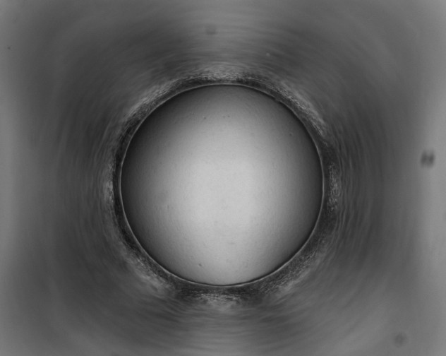 X0000100500681200806201715