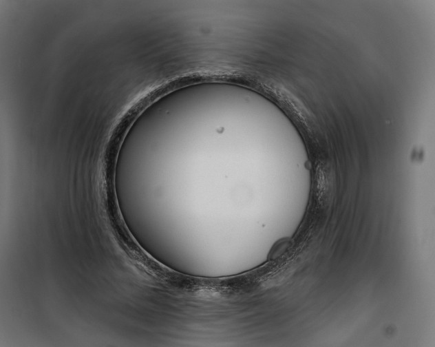 X0000100500684200806201715