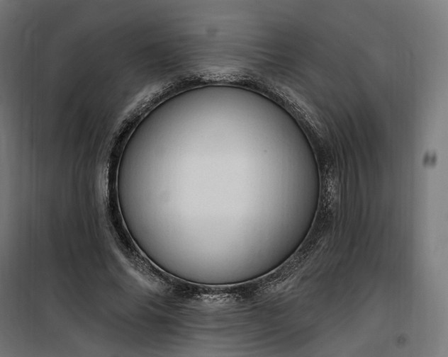 X0000100500686200806201715