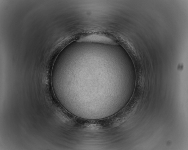 X0000100500689200806201715