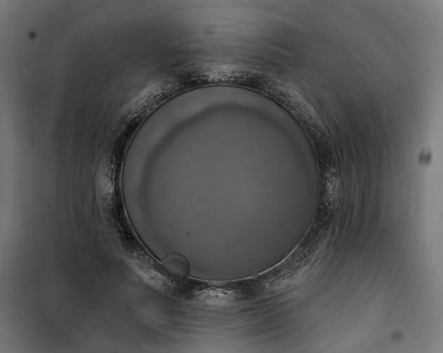 X0000100500691200806201715