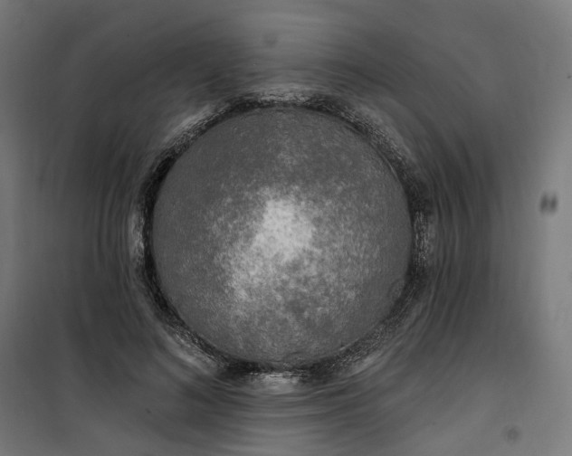 X0000100500692200806201715