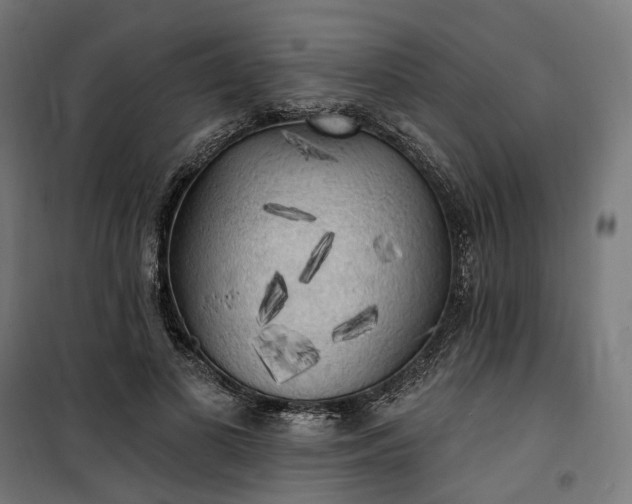X0000100500693200806201715