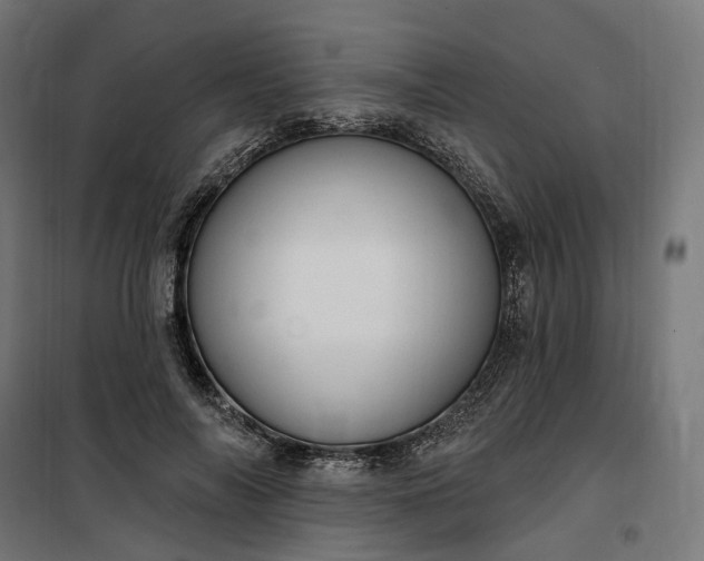 X0000100500694200806201715