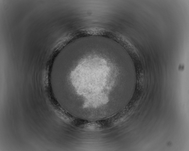 X0000100500696200806201715