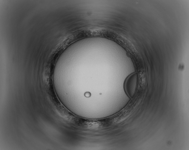 X0000100500698200806201715