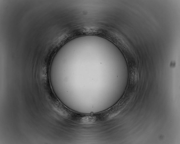 X0000100500700200806201715