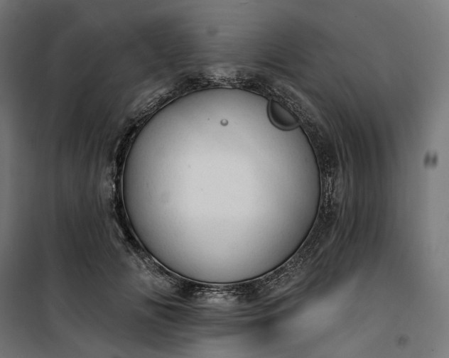 X0000100500702200806201715