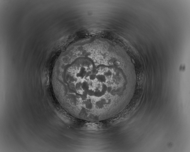 X0000100500703200806201715