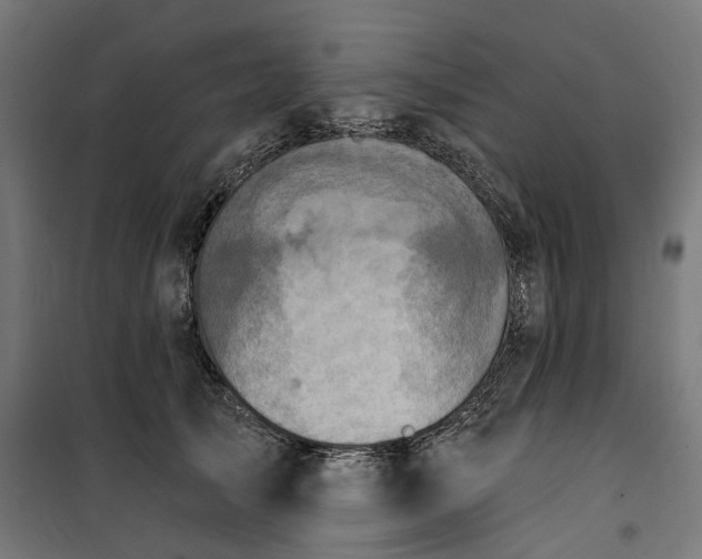 X0000100500705200806201715