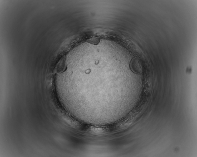 X0000100500706200806201715