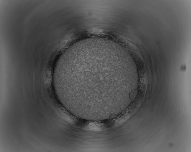 X0000100500708200806201715