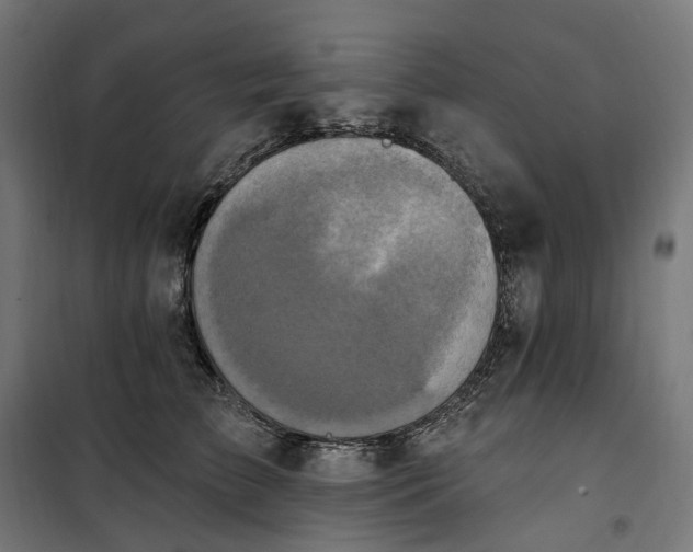 X0000100500709200806201715