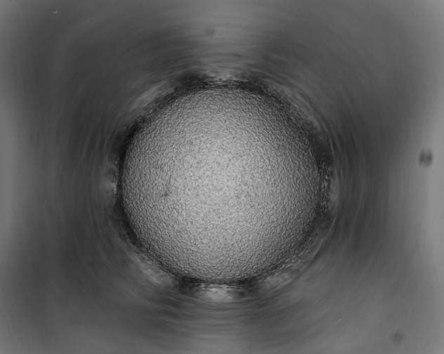 X0000100500710200806201715