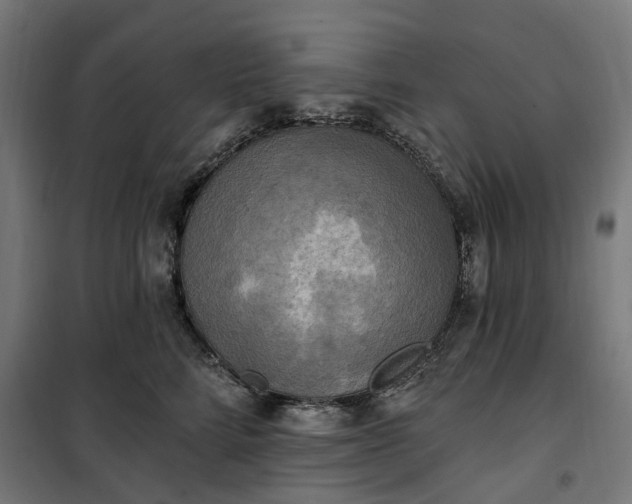 X0000100500712200806201715