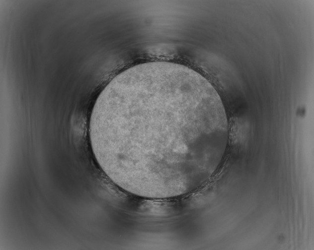 X0000100500713200806201715