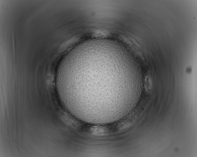 X0000100500714200806201715