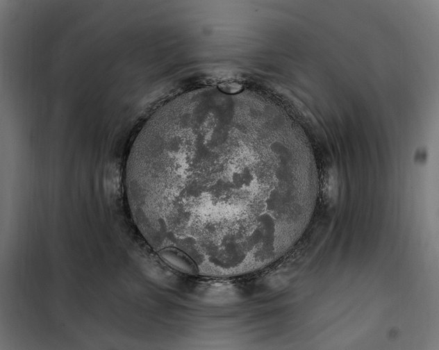 X0000100500715200806201715