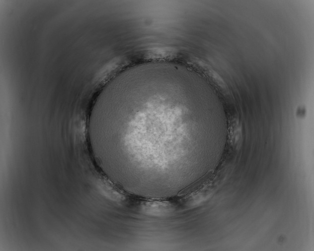 X0000100500716200806201715