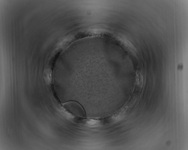 X0000100500718200806201715