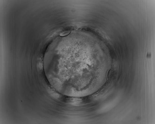 X0000100500719200806201715