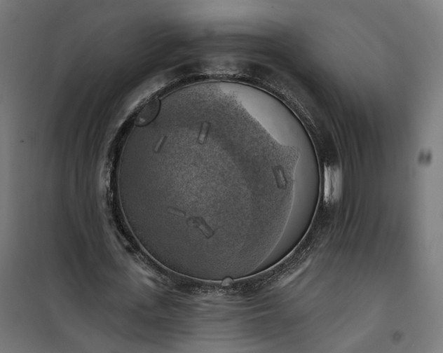 X0000100500723200806201714
