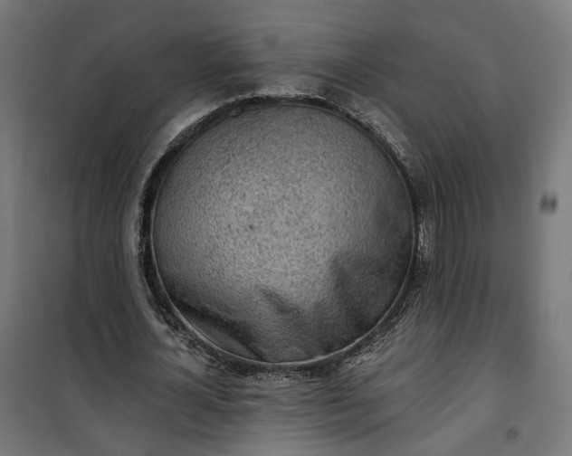 X0000100500724200806201714