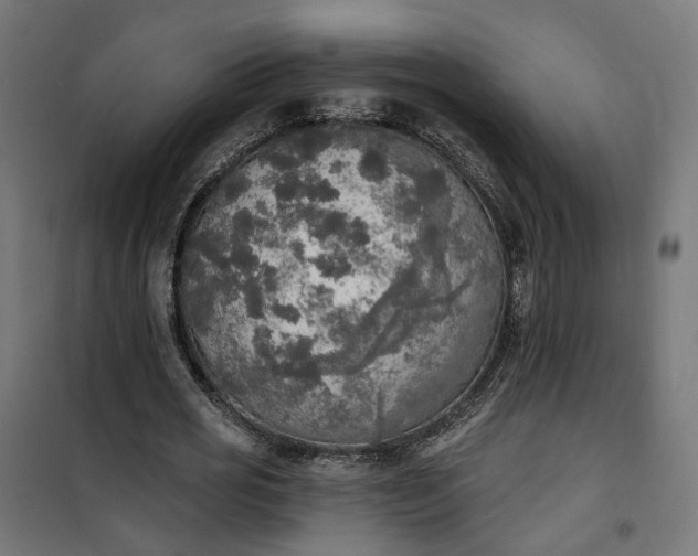 X0000100500725200806201714