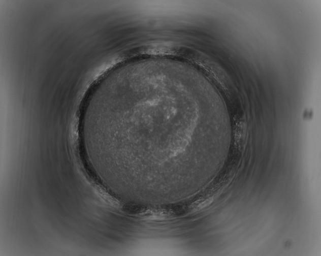 X0000100500727200806201714