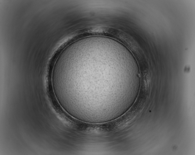 X0000100500728200806201714