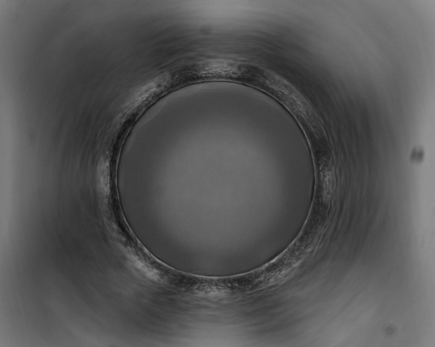 X0000100500729200806201714