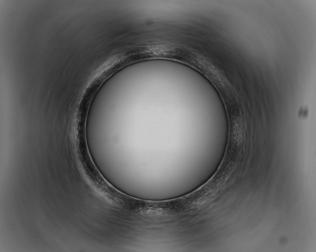 X0000100500730200806201714