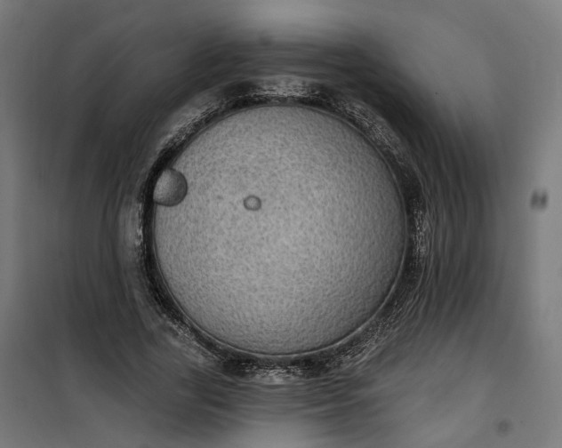 X0000100500731200806201714