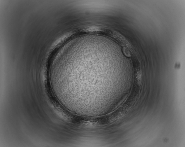 X0000100500732200806201714