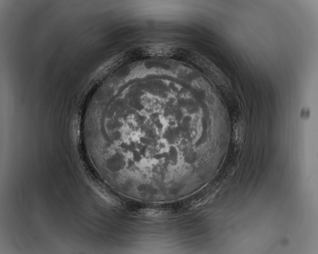 X0000100500733200806201714