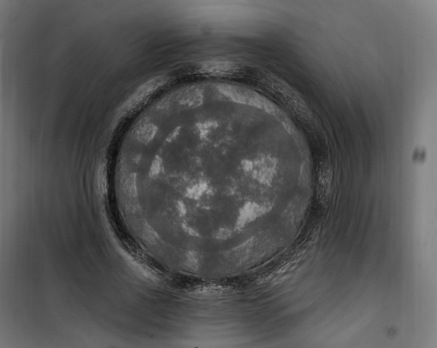 X0000100500734200806201714