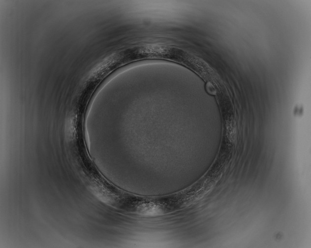 X0000100500735200806201714