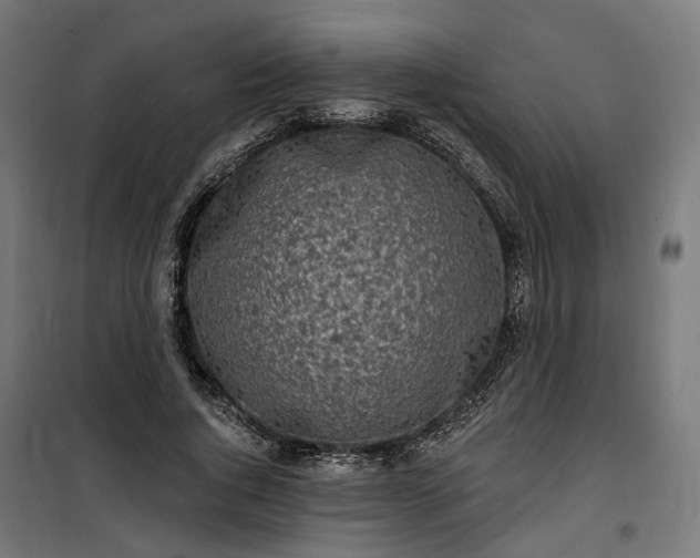 X0000100500736200806201714