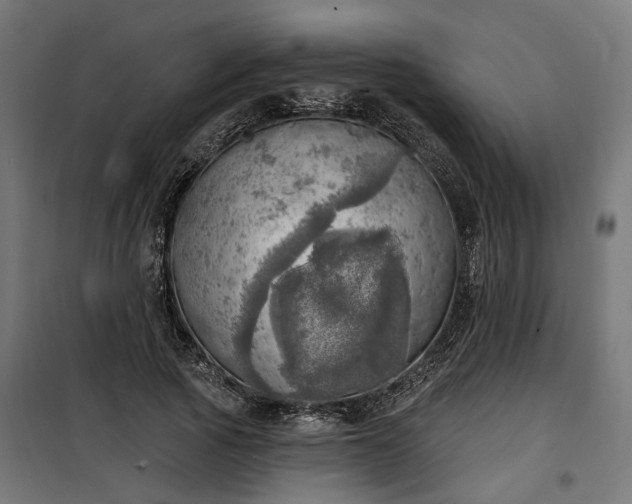 X0000100500737200806201714